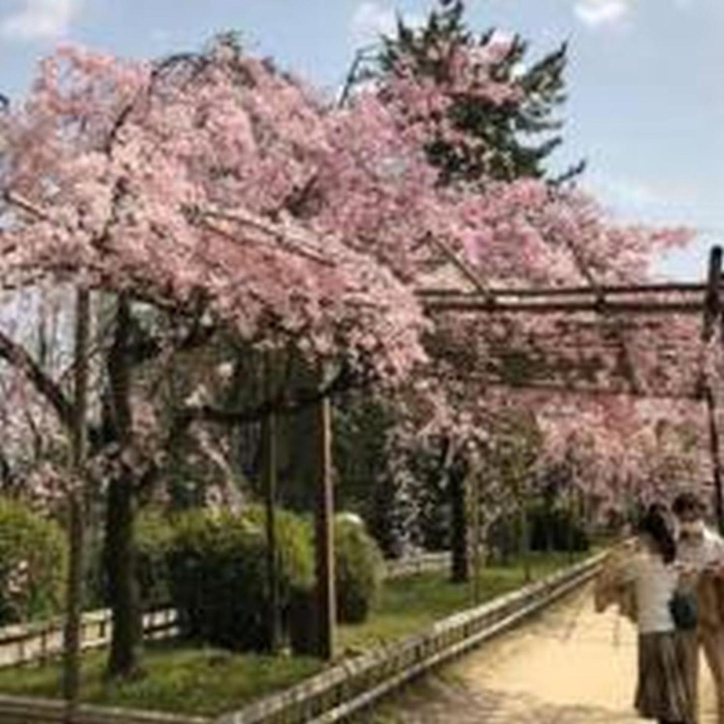 むつみ庵此花601 Apartment Osaka Exterior photo